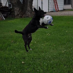 Meet your Posher, Marie wright